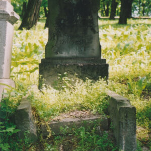 kamienny nagrobek porośnięty zielenią, wokół teren cmentarza, fragment innego nagrobka i pnie drzew