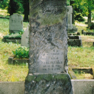 wysoka płyta nagrobna o porowatej powierzchni z wyżłobionymi liśćmi palmy i napisami, wokół teren cmentarza, inne nagrobki i drzewa