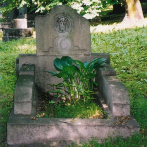 płyta nagrobna z obmurowaniem, wokół teren zielony cmentarza, fragmenty nagrobków