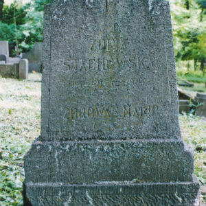 szara, pionowa płyta nagrobna z wyrytymi napisami, pokryta nalotem z mchu i porostów