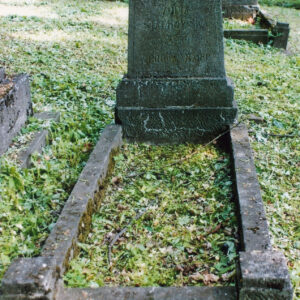 płyta nagrobna z obmurowaniem mogiły ziemnej, wokół teren zielony cmentarza, inne nagrobki i pnie drzew