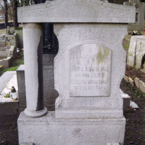 na wysokim cokole stela złożona z prostokątnej płyty z wyciętymi wklęsło bokami i odsuniętej od niej kolumny podpierających tympanon zwieńczony spłaszczonym łukiem, na płycie prostokątna tablica inskrypcyjna na górze zakończona łukiem, za nagrobkiem fragmenty kamiennych grobów, w głębi drzewa