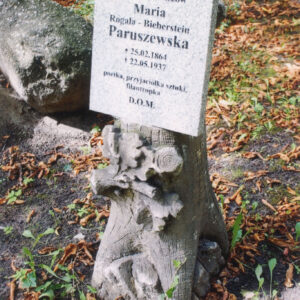 nagrobek w formie ściętego pnia drzewa, wrastającego korzeniami w skałę, w połowie wysokości ścięta gałąź z wachlarzowato ułożonymi dębowymi liśćmi, powyżej tablica inskrypcyjna z szarego granitu w formie prostokąta zamkniętego łukiem, przy nagrobku zielony bluszcz i suche liście