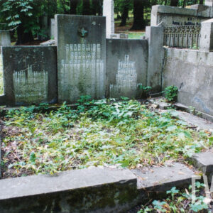 ziemna mogiła obramowana niskim murkiem, u wezgłowia wysoka prostokątna płyta, po jej bokach niższe lekko cofnięte płyty, prawa przylega do kamiennego słupka sąsiedniego grobowca, na każdej płycie zniszczone napisy, w partii środkowej, na górze równoramienny krzyż z kołem na skrzyżowaniu ramion, wtopiony w metalowe tondo