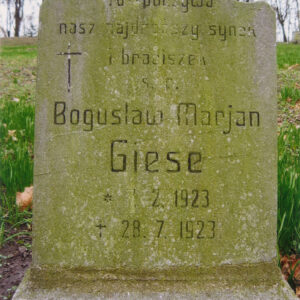 prostokątna tablica inskrypcyjna zamknięta łukiem wklęsło-wypukłym, płyta pokryta zielonym nalotem