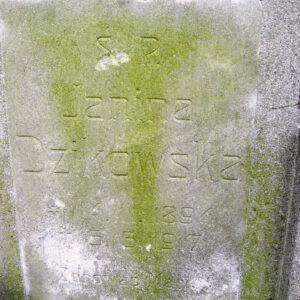 kamienna płyta z zielonym nalotem i wygrawerowanym słabo widocznym napisem