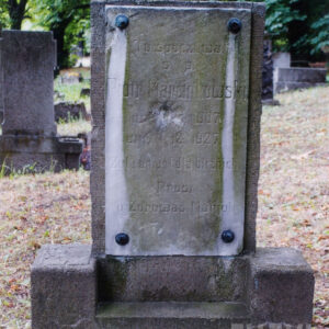 prostokątna, kamienna płyta pionowa na wysokim cokole, na licu płyty tablica z białego marmuru przymocowana w czterech narożach ozdobnymi nitami z rozetowymi główkami, tablica i stela z zielonym nalotem, w głębi sucha trawa i fragmenty drzew, na płycie ślad po pocisku