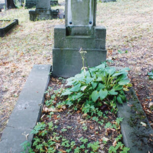 mogiła ziemna obmurowana, w środku rośliny, w partii zagłówkowej prostokątna, kamienna płyta pionowa na wysokim cokole, na licu płyty tablica z białego marmuru przymocowana w czterech narożach ozdobnymi nitami z rozetowymi główkami, tablica i stela z zielonym nalotem, na płycie ślad po pocisku