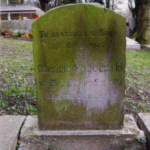 prostokątna pionowa płyta kamienna zamknięta łukiem, na licu ryty napis, z pozostałością czarnego barwnika, całość pokryta zielonym nalotem, w głębi z lewej fragment dużego nagrobka i pnie drzew