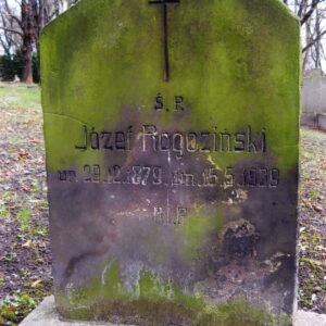 płyta w formie stojącego prostokąta zamkniętego łukiem z wyrytym napisem, nad inskrypcją wyryty krzyż łaciński, płyta osadzona na szerokim cokole i pokryta zielonym nalotem