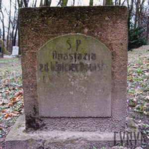 prostokątna pionowa kamienna płyta barwiona na kolor różowy, umieszczona na szerokiej, prostokątnej podstawie, na awersie, wystająca z lica tablica inskrypcyjna zamknięta łukiem z rytym napisem, niektóre litery wypełnione czarnym barwnikiem