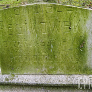 tablica przechylona ukośnie do tyłu i oparta na konsoli, górna część płyty odłamana z zielonym nalotem