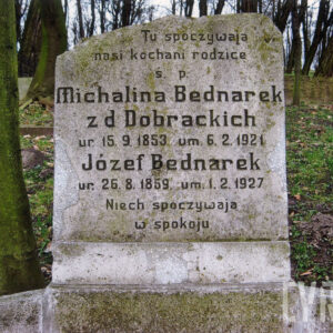 stela w formie prostokątnej płyty o odłamanej górnej krawędzi z wyrytym napisem wypełnionym czarnym barwnikiem, płyta pokryta zielonym nalotem
