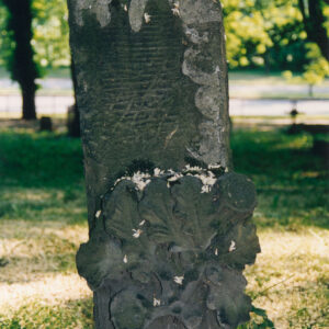 kamienny nagrobek w formie ściętego pnia drzewa, w połowie wysokości wyobrażenie ściętej gałęzi z dębowymi liśćmi, nad nimi mocno zniszczona tablica