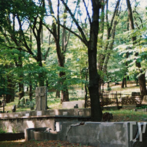 pole z kamiennymi nagrobkami, pomiędzy nimi wysokie drzewa