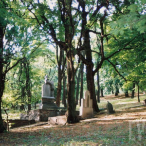 lekko wzniesiony teren cmentarza, kamienne nagrobki, pomiędzy nimi wysokie drzewa