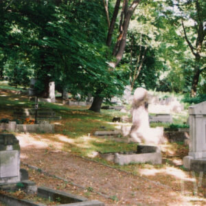 aleja cmentarna lekko idąca pod górę, po jej obu stronach kamienne nagrobki, pomiędzy nimi wysokie drzewa