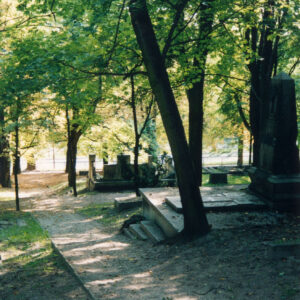 alejka cmentarna lekko idąca w dół, po prawej stronie kamienne nagrobki, pomiędzy nimi wysokie drzewa