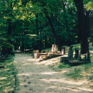 aleja cmentarza, po jej prawej stronie kamienne nagrobki, za nimi wysokie drzewa