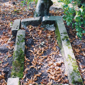 mogiła ziemna otoczona prostym obmurowaniem, u wezgłowia ścięty, nieokorowany pień drzewa z wystającymi ściętymi sękami o zaznaczonych słojach, z przodu pnia płaskorzeźba przedstawiająca motyw liści i owoców dębu, pień drzewa pokryty zielonym nalotem, obmurowanie popękane, pokryte mchem