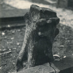 ścięty, nieokorowany pień drzewa ustawiony u wezgłowia mogiły, pień z wystającymi ściętymi sękami o zaznaczonych słojach