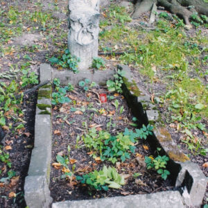 mogiła ziemna otoczona obmurowaniem, dłuższe boki zamknięte łukiem wklęsło-wypukłym, u wezgłowia ścięty, nieokorowany pień drzewa z wystającymi ściętymi sękami o zaznaczonych słojach, z przodu pnia płaskorzeźba przedstawiająca motyw liści i owoców dębu, nad dekoracją ścięte ukośnie miejsce, na której pierwotnie była umieszczona tablica inskrypcyjna