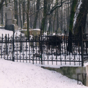 mogiła ziemna otoczona kutym, metalowym ogrodzeniem umieszczonym na murowanej podmurówce, na jednym z boków kraty żeliwna płyta inskrypcyjna w formie prostokąta, w głębi kamienne nagrobki i drzewa, sceneria zimowa