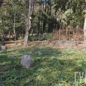 ledwo widoczne zniszczone, kamienne groby wśród niskiej zieleni, z prawej mogiła ziemna ogrodzona ozdobną, skorodowaną, żeliwną kutą kratą, osadzoną na kamiennym cokole wspartym na ceglanym podmurowaniu, za pniem drzewa słabo widoczny metalowy, ażurowy krzyż łaciński, w głębi drzewa