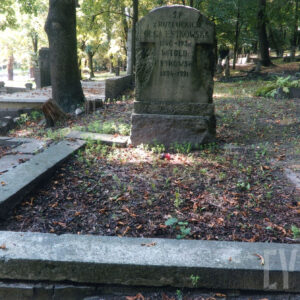 mogiła ziemna zbliżona kształtem do kwadratu, ujęta niskim obramieniem, pośrodku zagłówkowej części nieregularnie obrobiony blok kamienny zamknięty łukiem, umieszczony na prostopadłościennej podstawie, na bloku wypukło rzeźbiony, wychodzący lekko przed lico, gładki krzyż o belce poprzecznej przechodzącej w łuk z dolną belką rozszerzająca się, na krzyżu ryta inskrypcja