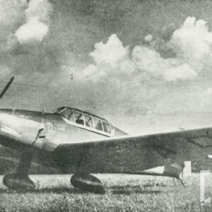 samolot stojący na trawiastym lądowisku