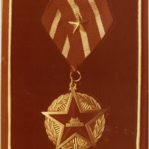 medal w kształcie pięcioramiennej gwiazdy, czerwony w środku, ze złotą oblamówką, otoczony tworzącymi okrąg metalowymi liśćmi laurowymi, przymocowany do czerwono-białej wstążki z przypiętą na środku metalową pięcioramienną gwiazdą