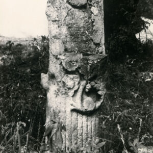 ścięty, nieokorowany pień drzewa z wystającymi ściętymi sękami o zaznaczonych słojach, z przodu pnia płaskorzeźba przedstawiająca motyw liści i owoców dębu, nad dekoracją ścięte ukośnie miejsce, na której pierwotnie była umieszczona tablica inskrypcyjna