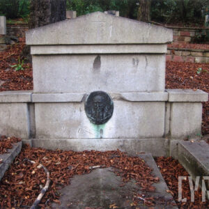 pomnik nagrobny o nieregularnych kształtach z umieszczonym wizerunkiem zmarłego, wokół na ziemi leżą zwiędnięte liście, w głębi inne nagrobki 