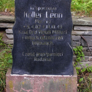 czarna płyta nagrobna o nieregularnym kształcie umieszczona na cokole, z wyrytym napisem w języku polskim, wokół trawa i drzewa