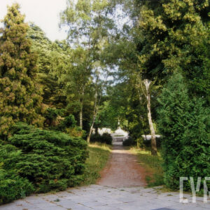 nagrobki otoczone trawą i drzewami