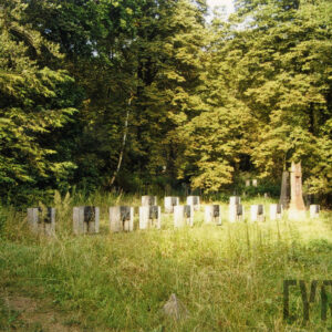 nagrobki otoczone trawą i drzewami