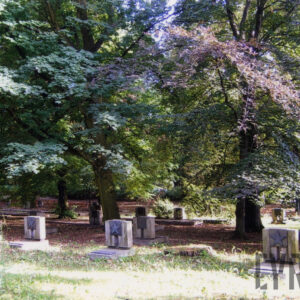 nagrobki otoczone trawą i drzewami