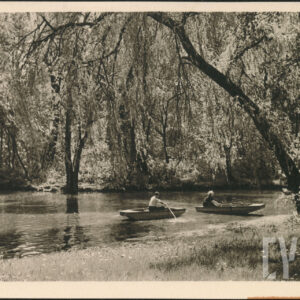 po stawie wśród drzew pływają dwie łódki, w których siedzą wiosłujący kobieta i mężczyzna