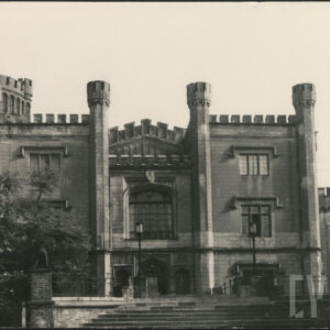 zamek z wieżami i krenelażem, do którego prowadzą szerokie schodyw