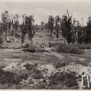 zniszczony teren z częściowo połamanymi drzewami, resztkami ogrodzenia i pozostałościami po grobach