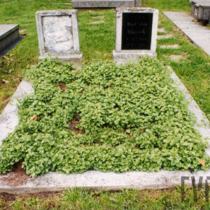 dwie bliźniacze, rozsunięte na boki stele w formie prostokątnych płyt osadzone na cokołach