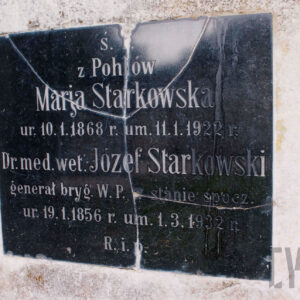 płyta nagrobna w formie kwadratowej steli ze sztucznego kamienia z tablicą epitafijną z czarnego szkła, z wyrytymi napisami w języku polskim