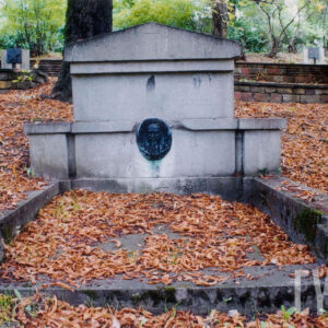 pomnik nagrobny o nieregularnych kształtach z umieszczonym wizerunkiem zmarłego, wokół na ziemi leżą zwiędnięte liście, w głębi inne nagrobki 