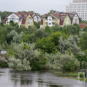 na pierwszym planie rzeka; w tle gęsto rosnące drzewa oraz zabudowania