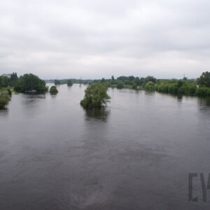 rzeka oraz wystające ponad poziom wody korony drzew; na obu stronach koryta gęsto rosnące drzewa; gdzieniegdzie widoczne zarysy budynków