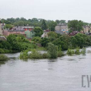 na pierwszym planie rzeka oraz wystające ponad poziom wody korony drzew; na dalszym planie gęsto rosnące drzewa oraz zabudowania; w tle gęsto rosnące drzewa
