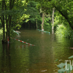 drzewa stojące w wodzie i poręcz zalanego mostku