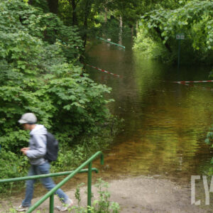 drzewa stojące w wodzie i poręcz zalanego mostku