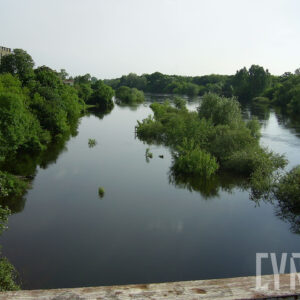 rzeka oraz wystające ponad poziom wody korony drzew; na obu stronach koryta gęsto rosnące drzewa; gdzieniegdzie widoczne zarysy budynków