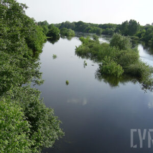rzeka oraz wystające ponad poziom wody korony drzew; na obu stronach koryta gęsto rosnące drzewa; gdzieniegdzie widoczne zarysy budynków